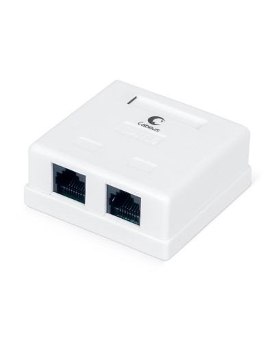 WS-8P8C-Cat.6-2 (7482c): Розетка RJ-45 в Назрани