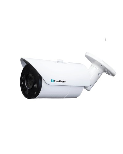 EZN-268V. Видеокамера IP купольная. EverFocus в Назрани