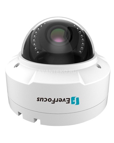 EHN-1250. Видеокамера IP купольная. EverFocus в Назрани