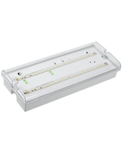 Светильник аварийный ДПА 5042-1 1ч IP65 LIGHTING (LDPA0-5042-1-65-K01). Светильник аварийный универсальный. IEK в Назрани