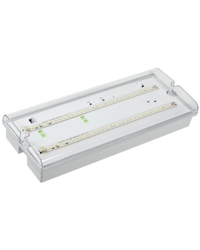 Светильник аварийный ДПА 5042-3 3ч IP65 LIGHTING (LDPA0-5042-3-65-K01). Светильник аварийный универсальный. IEK в Назрани