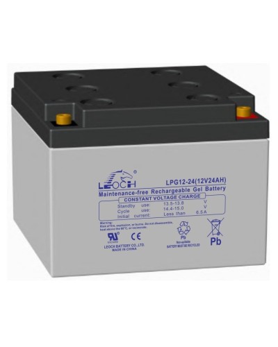 LEOCH LPG 12-24. Аккумулятор герметичный свинцово-кислотный. LEOCH в Назрани