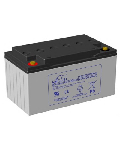 LEOCH LPG 12-65. Аккумулятор герметичный свинцово-кислотный. LEOCH в Назрани