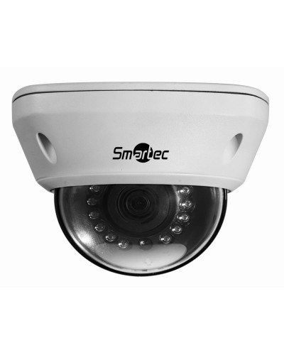 STC-IPM5591/1. Видеокамера IP купольная. Smartec в Назрани