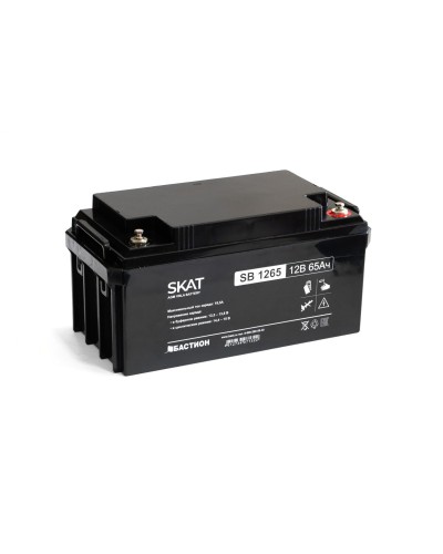 SKAT SB 1265 (2541). Аккумулятор герметичный свинцово-кислотный. Бастион в Назрани