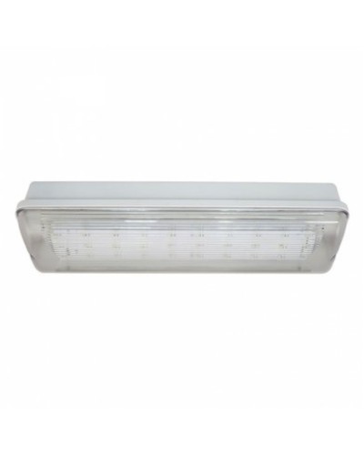 SL-223-30LED1.8 исп.1 IP54. Светильник аварийного освещения. ИП Раченков А.В. в Назрани