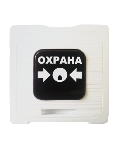 ИР 513-10 ОХРАНА (белый). Элемент дистанционного управления. Рубеж в Назрани